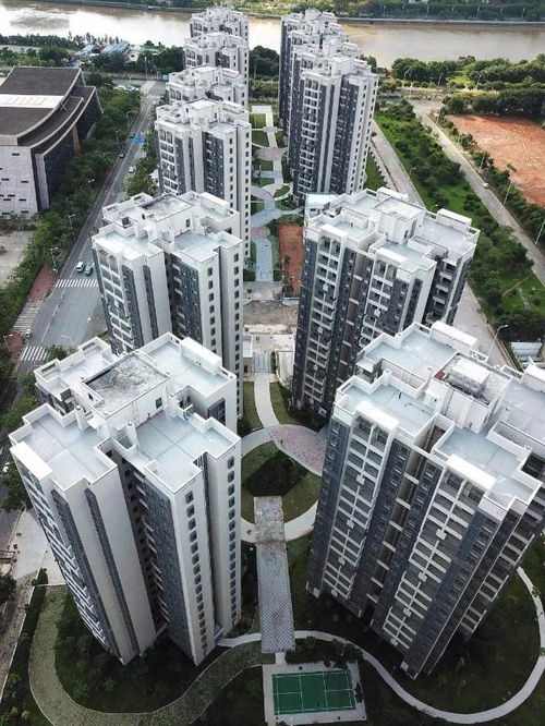 1800元觀廣州塔！商品房客廳改造公寓引熱議，年輕人直呼“慕了”